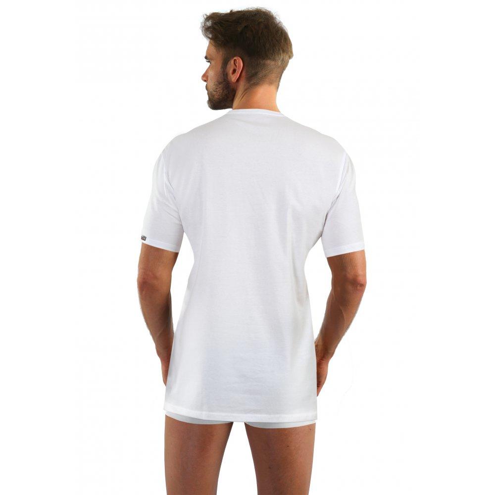 SESTO-SENSO COBRA KOSZULKA KLASYCZNY T-SHIRT MĘSKI BAWEŁNIANY