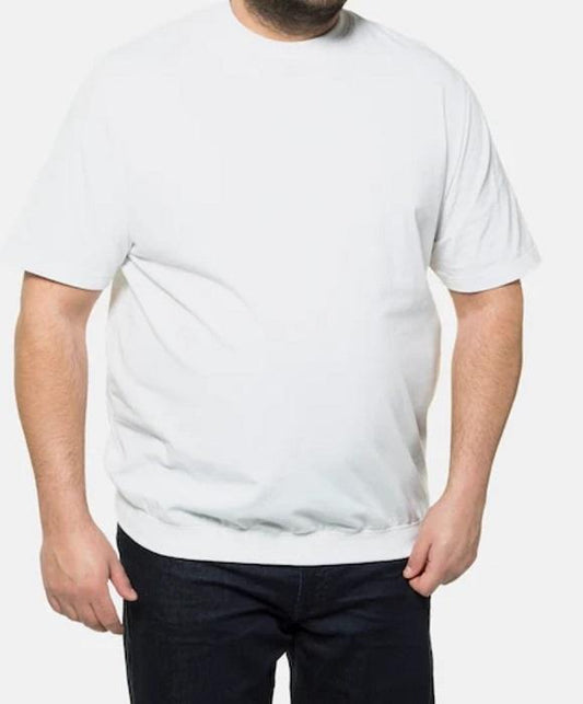 RAJ-POL T-SHIRT MĘSKI BAWEŁNIANY ART.703487