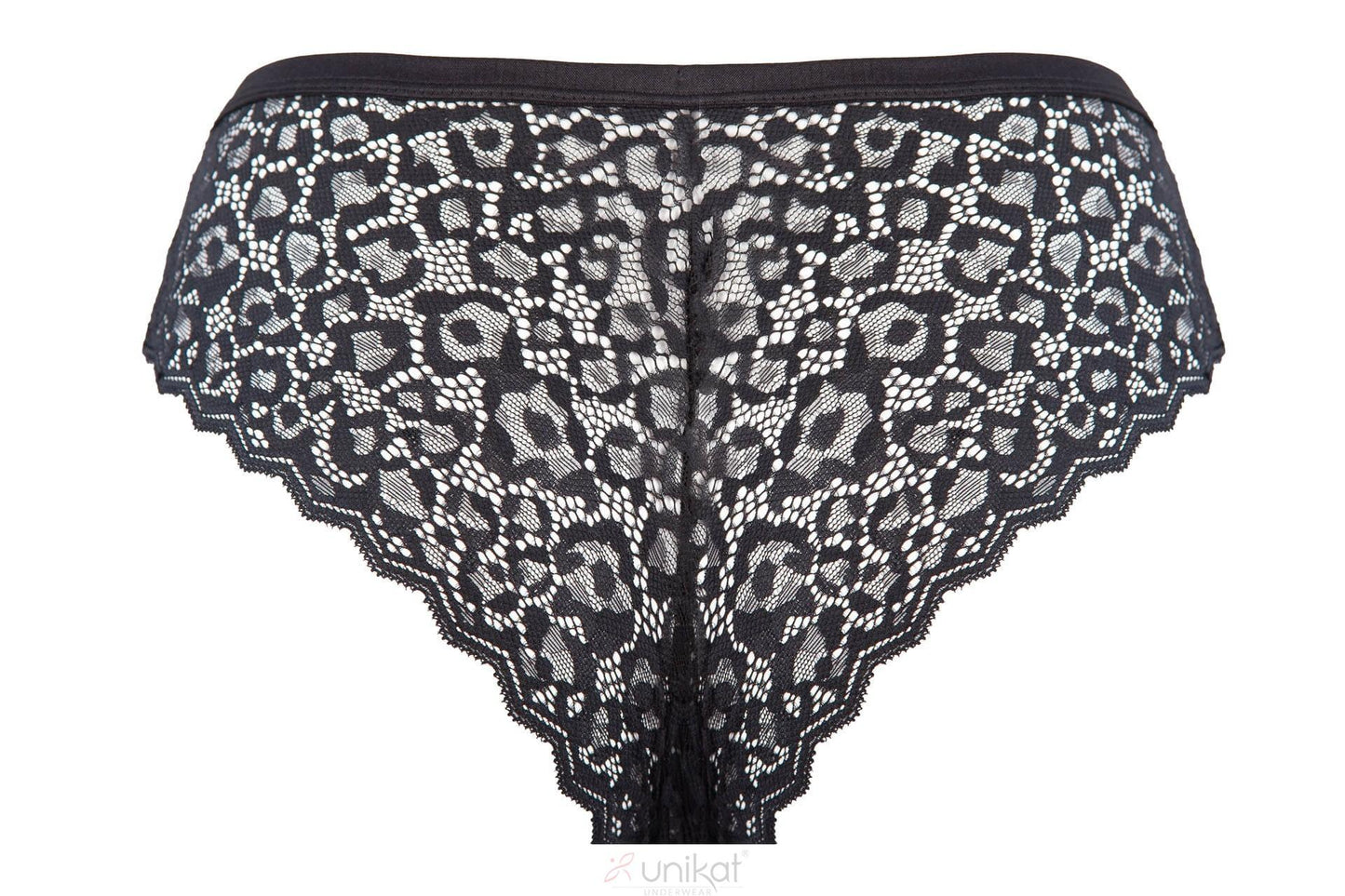 UNIKAT BOKSERKI DION