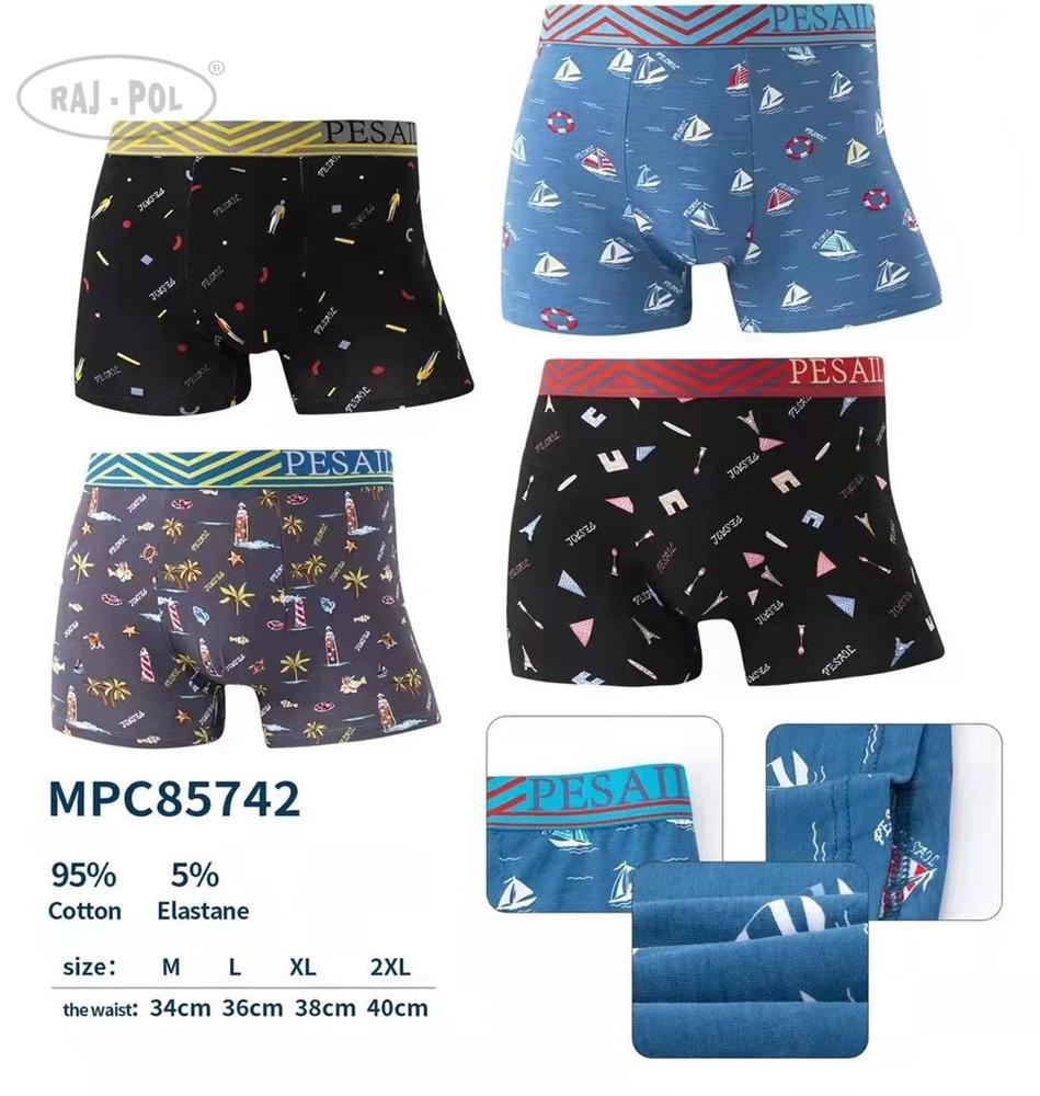 RAJ-POL BOKSERKI MĘSKIE WZOROWANE PESAIL MPC85742 ART 721849