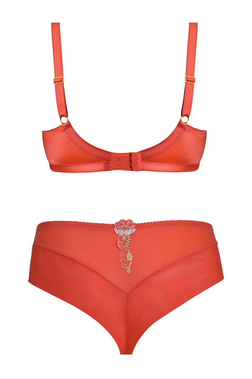 FIGI BRAZYLIANY APRICOT 19069